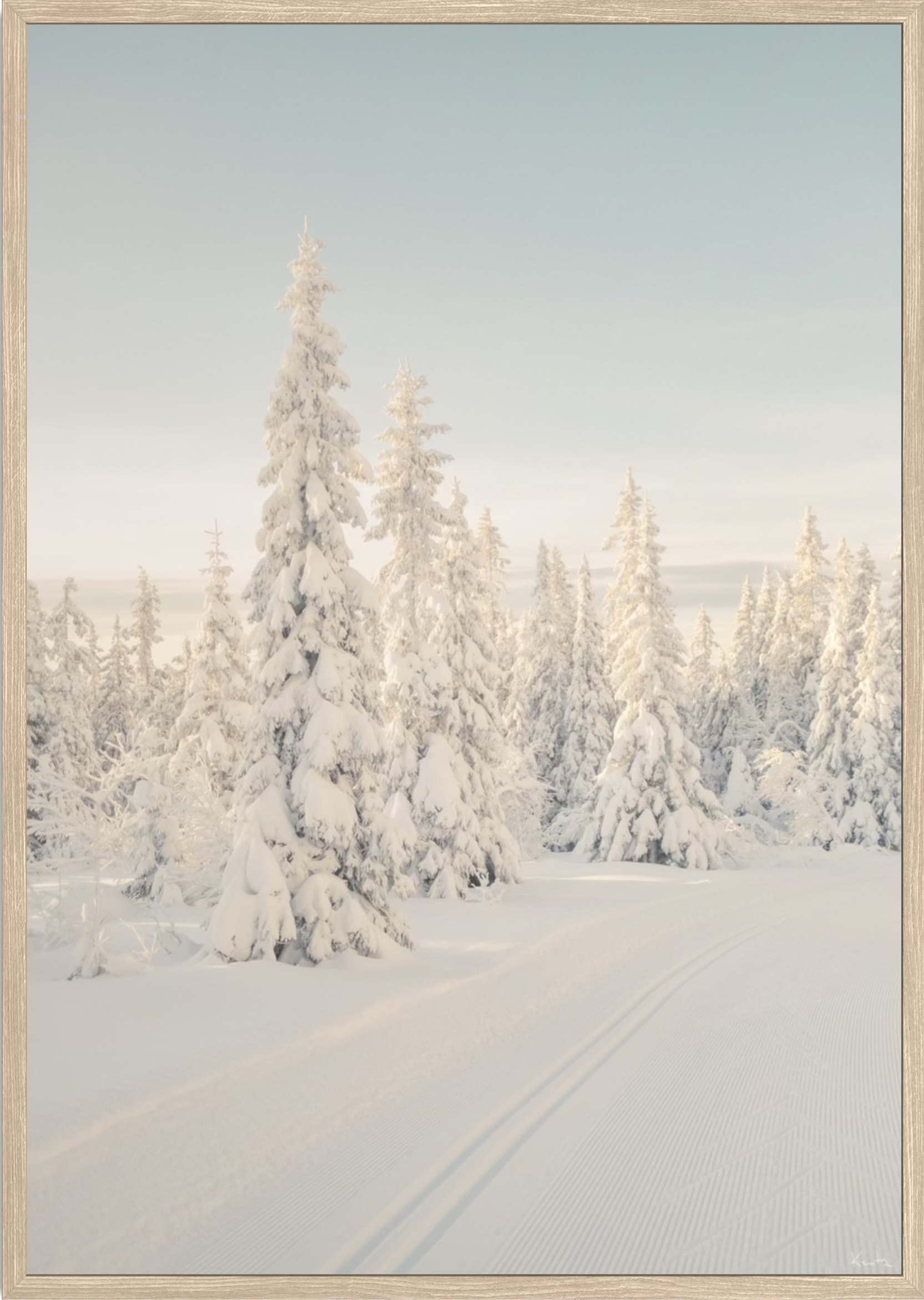 WoW 2420 02 - Image 2