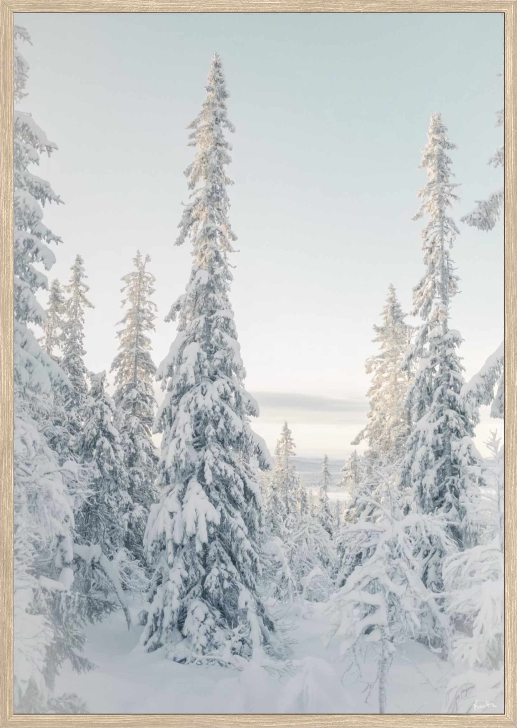 WoW 2420 03 - Image 2