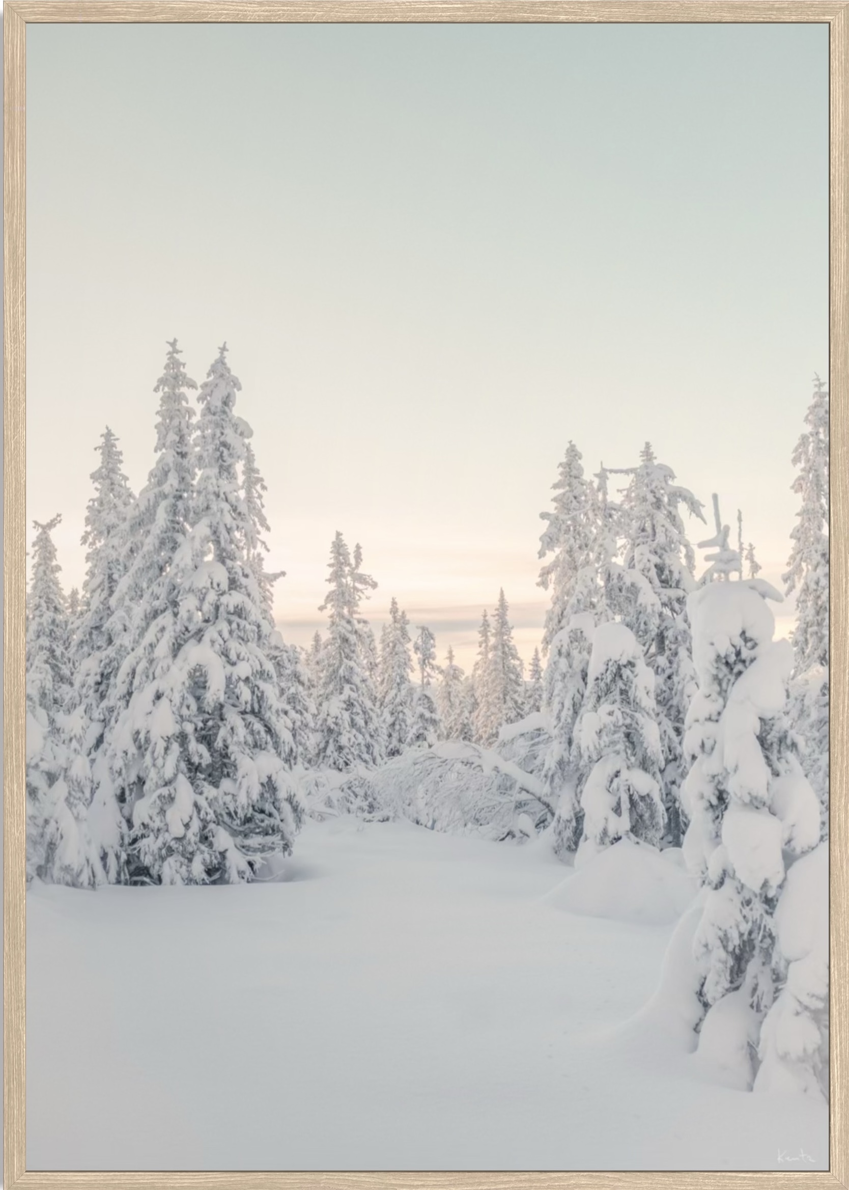 WoW 2420 04 - Image 2