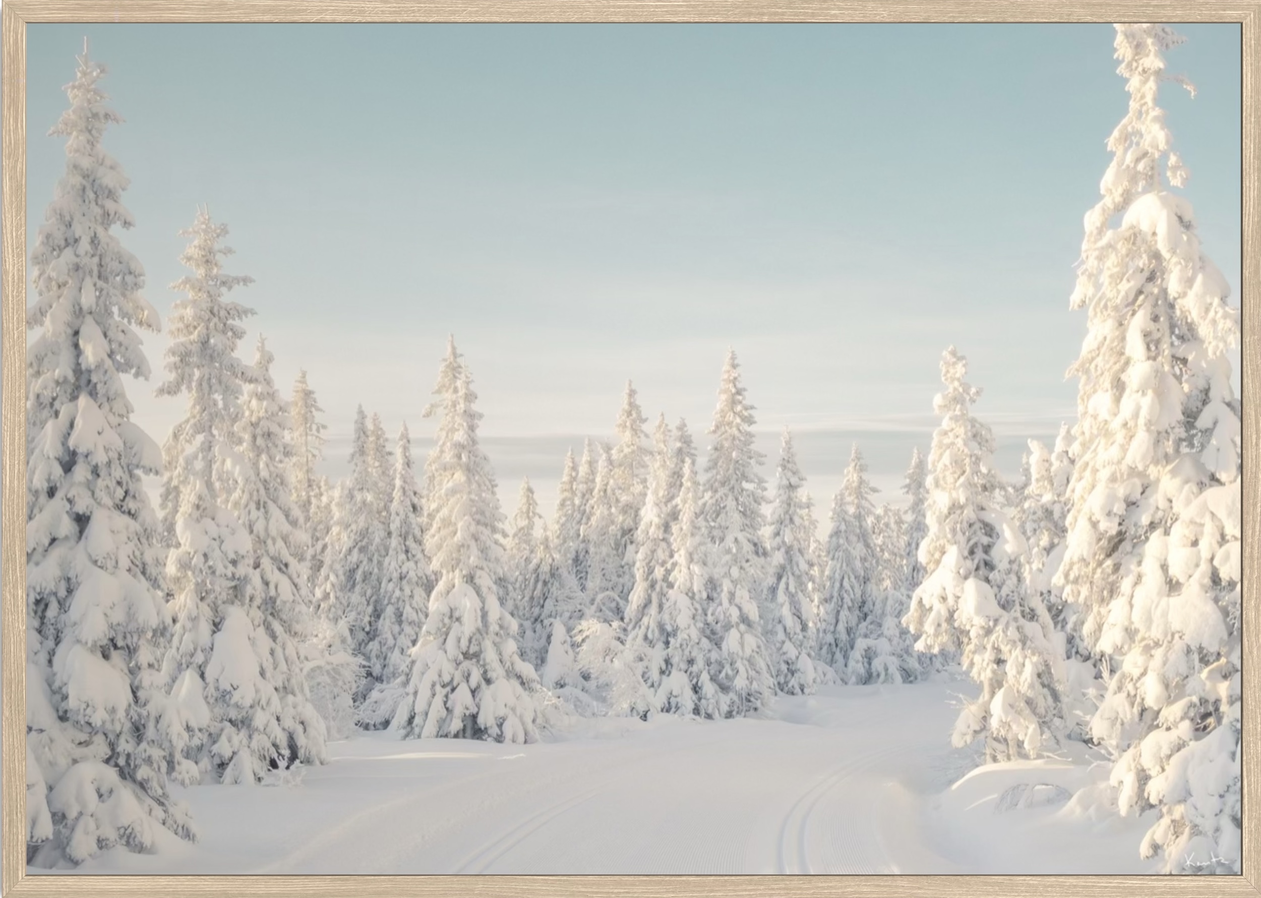 WoW 2420 05 - Image 2