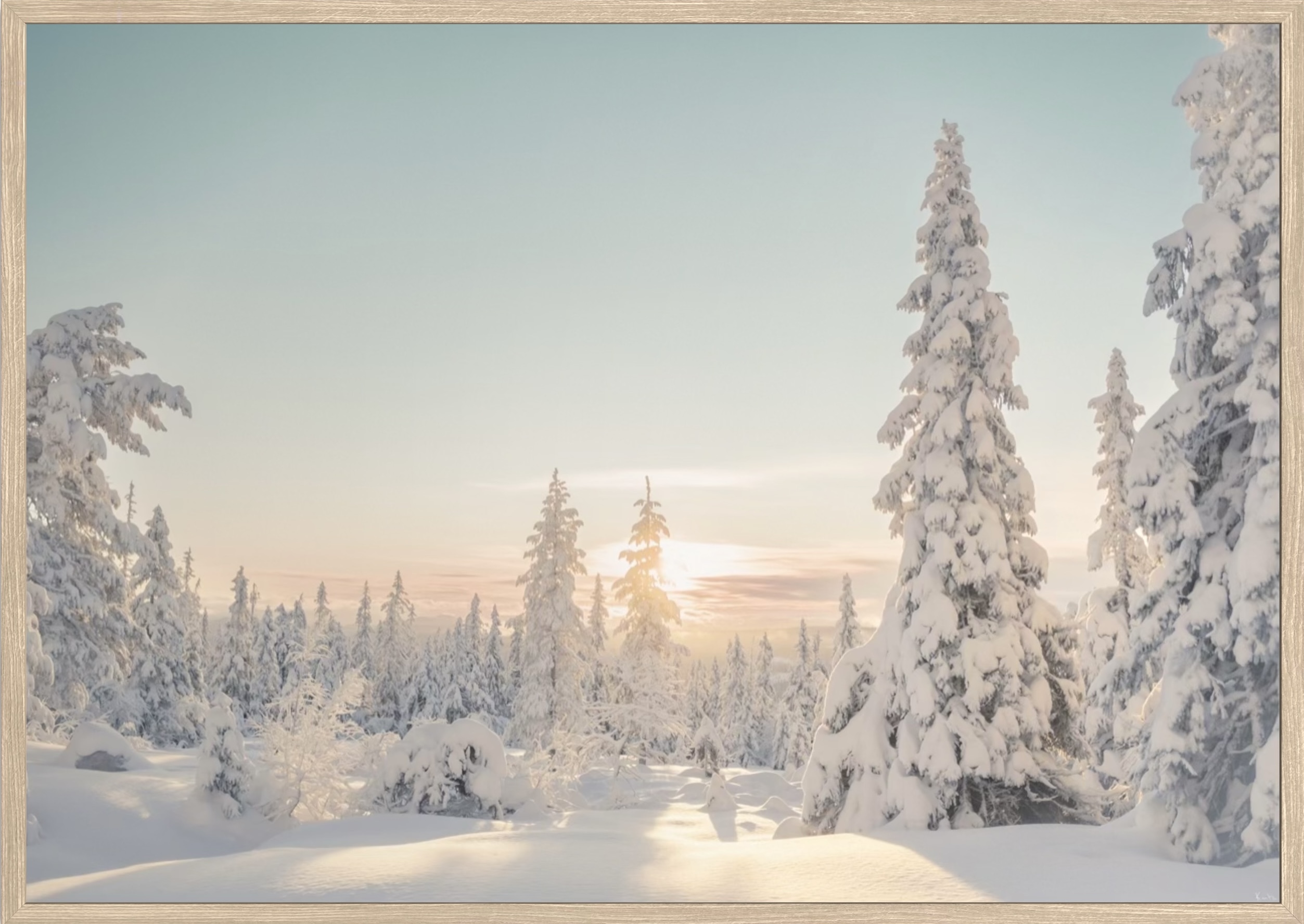 WoW 2420 06 - Image 2