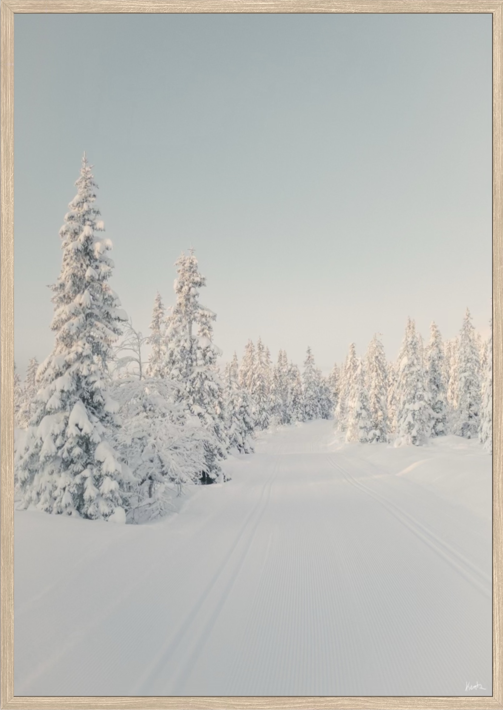 WoW 2420 08 - Image 2