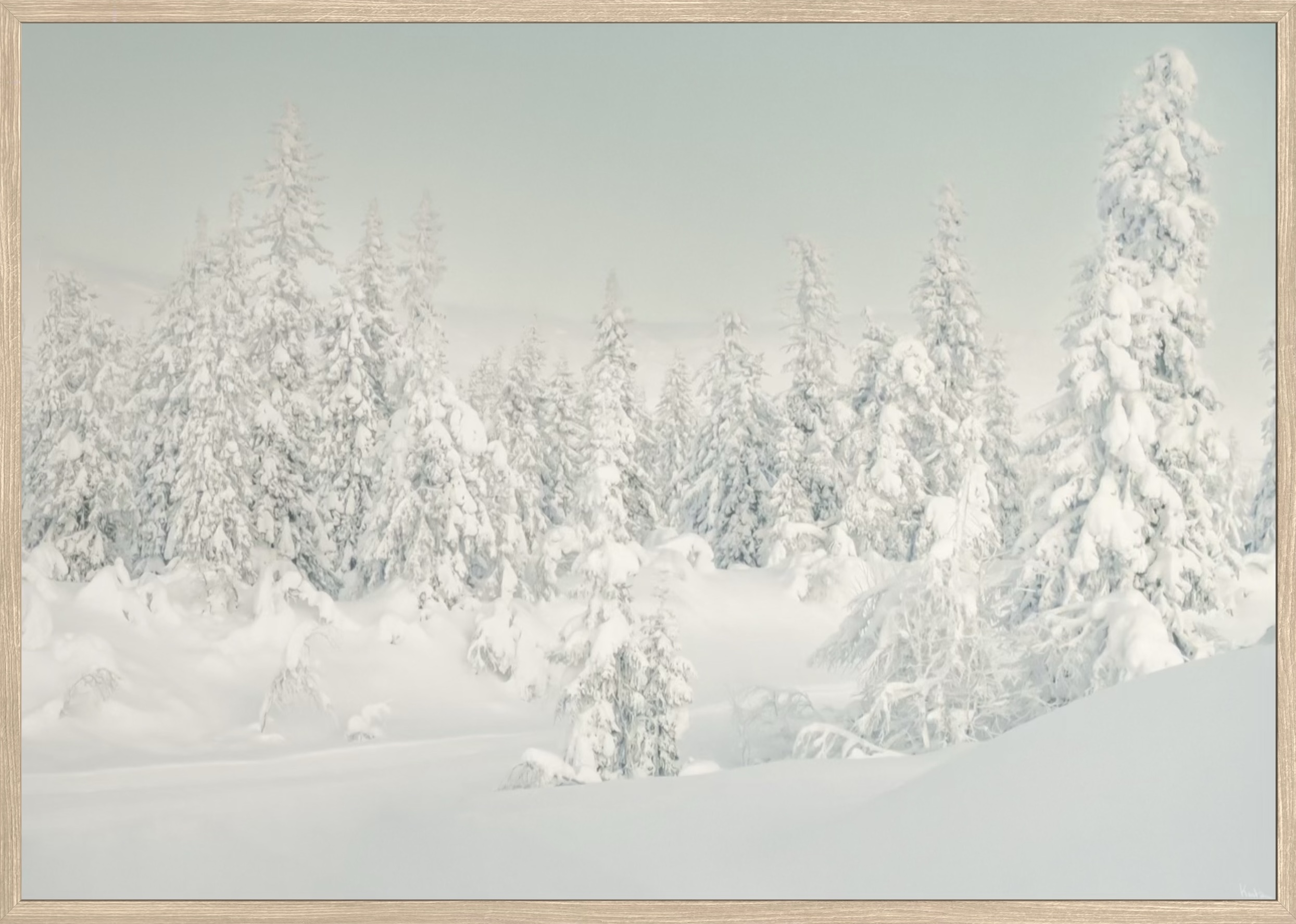 WoW 2420 10 - Image 2